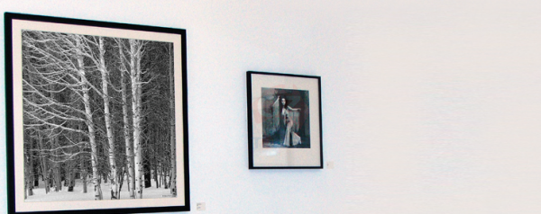 HP Premium Instant-dry Gloss Photo Paper - 1524 mm x 30.5 m