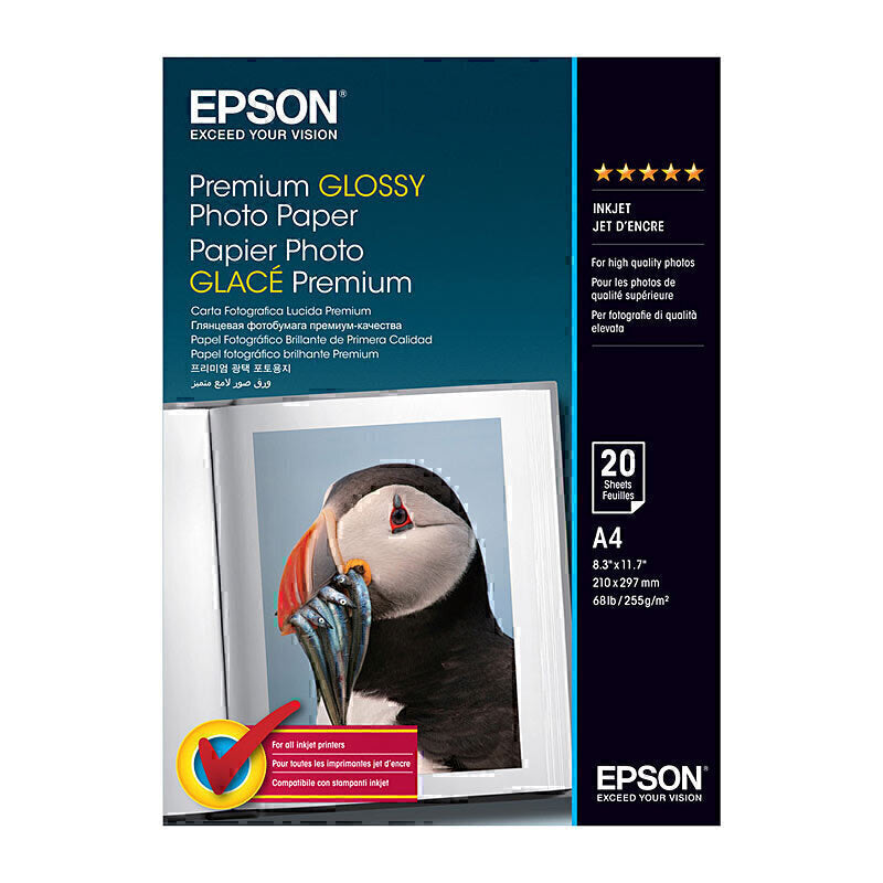 Epson S041287 Glossy Paper A4 C13S041287