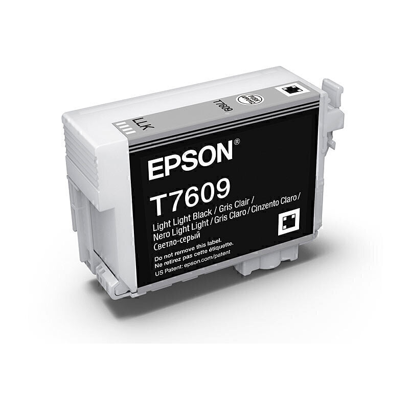 Epson 760 Lgt Lgt Blk Ink Cart C13T760900