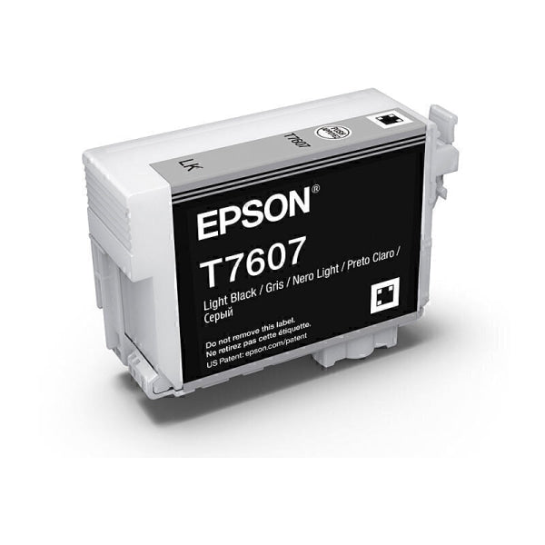 Epson 760 Light Black Ink Cart C13T760700